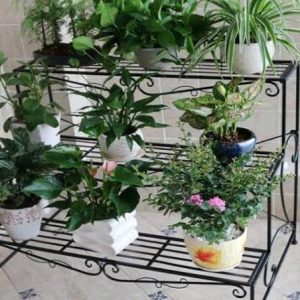 Kệ sắt để cây